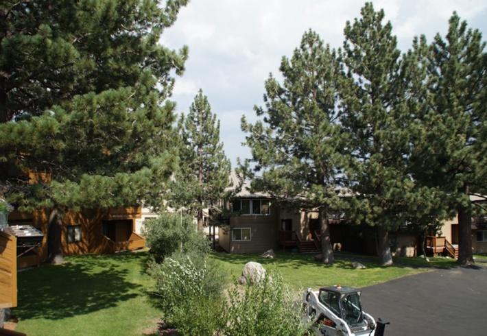 Wildflower Condo #436 Μαμούθ Λέικς Εξωτερικό φωτογραφία
